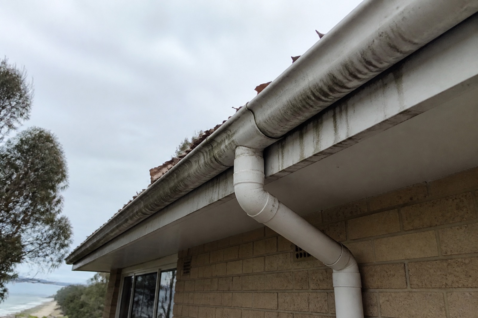 Gutter clean on a coastal property